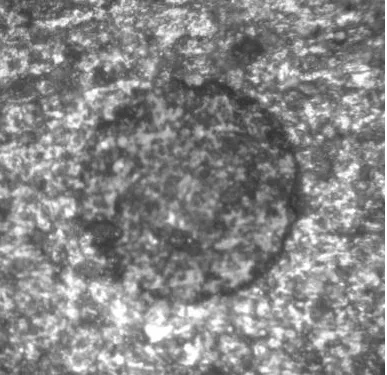 铭衍海（常州）微电子光纤端子二合一研磨液简介